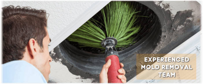 Air Duct Mold Removal in Cypress